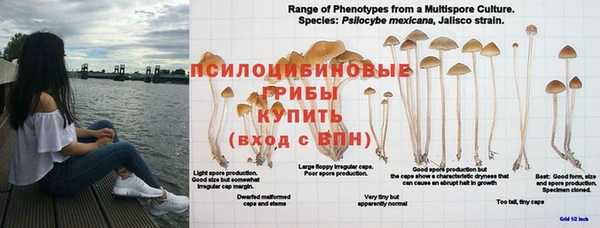 прущие крисы Верхний Тагил