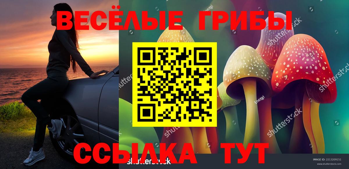 Псилоцибиновые грибы MAGIC MUSHROOMS  Вход с VPN  Лабытнанги 