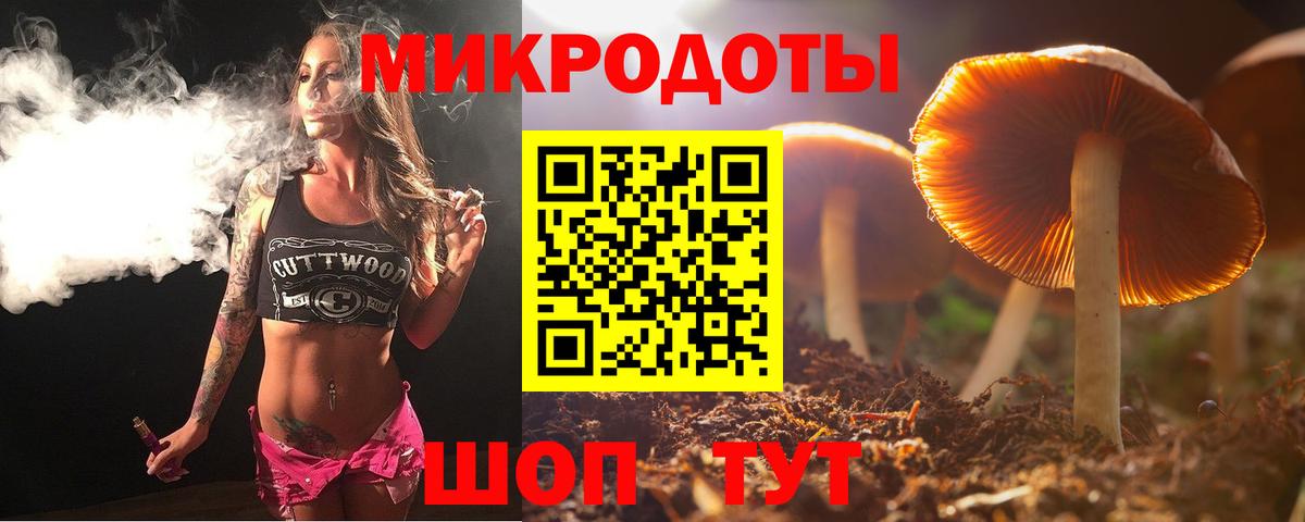 Псилоцибиновые грибы Psilocybe Лабытнанги